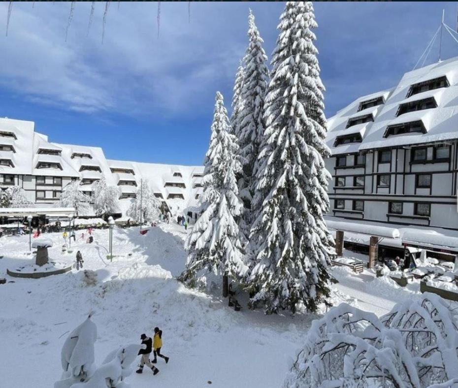 Tim 135 Konaci-Angella Centar Lägenhet Kopaonik Exteriör bild